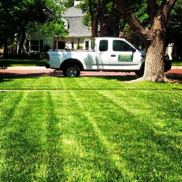 Dependable Lawn Pros