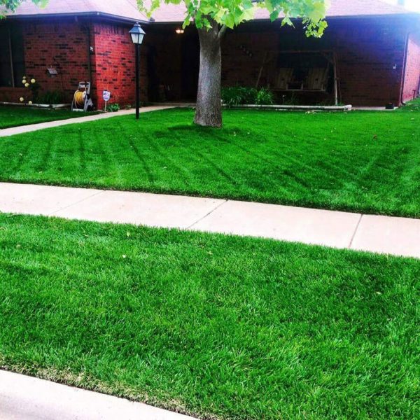 Dependable Lawn Pros