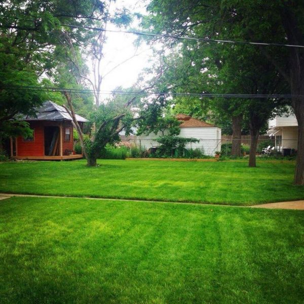 Dependable Lawn Pros