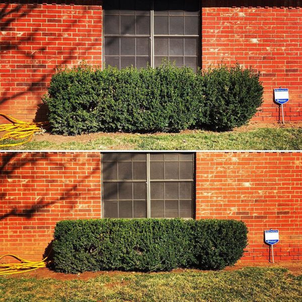 Dependable Lawn Pros