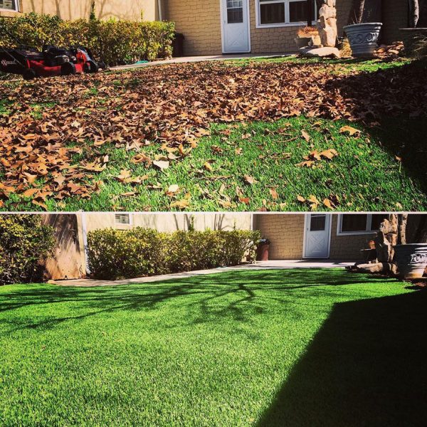 Dependable Lawn Pros