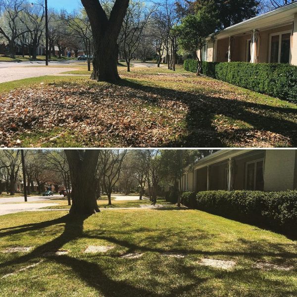 Dependable Lawn Pros