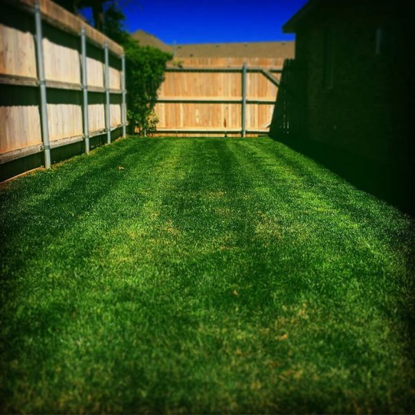 Dependable Lawn Pros