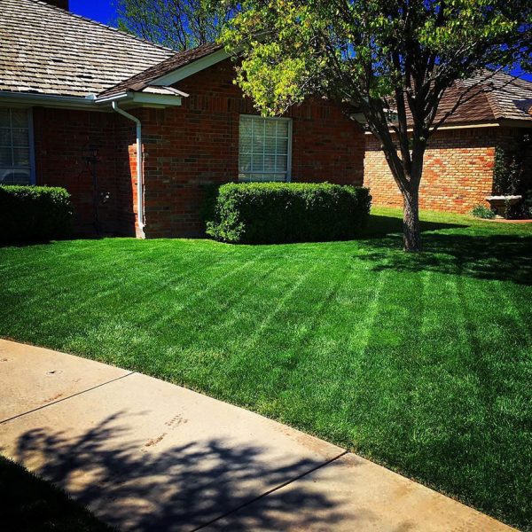 Dependable Lawn Pros