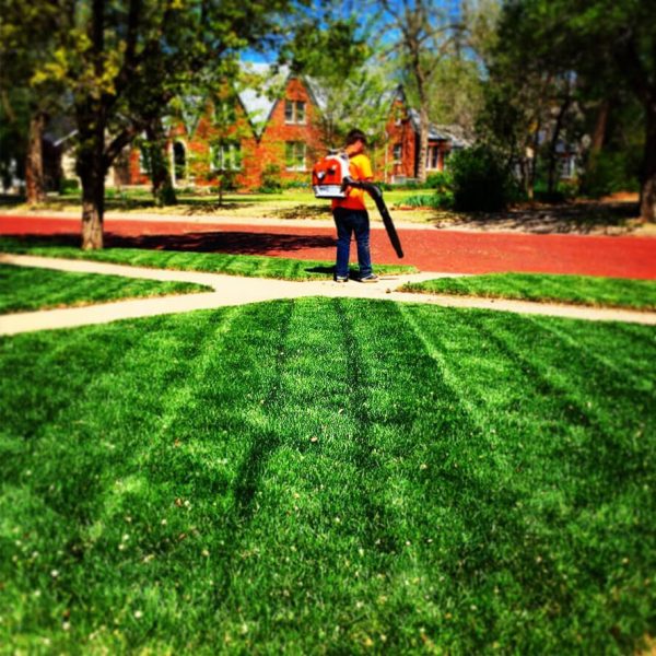 Dependable Lawn Pros