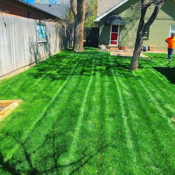 Dependable Lawn Pros