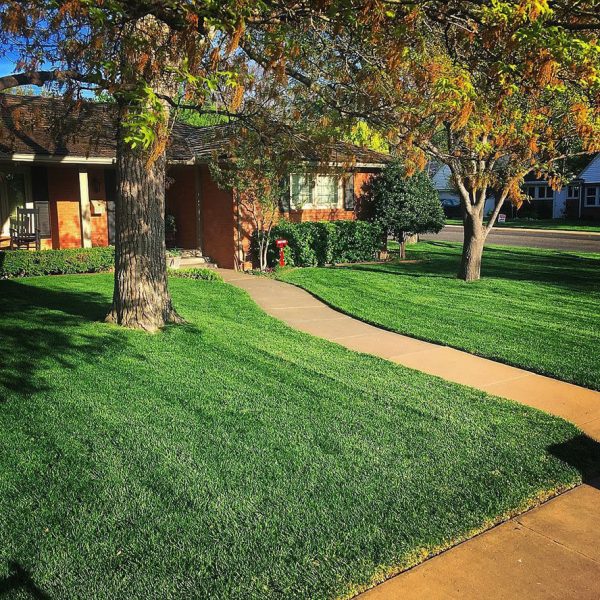 Dependable Lawn Pros