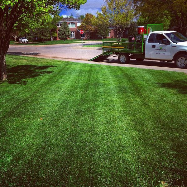 Dependable Lawn Pros
