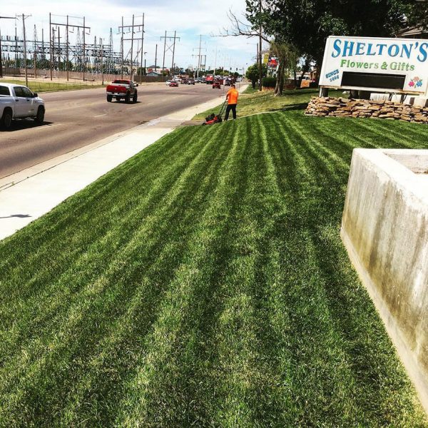 Dependable Lawn Pros