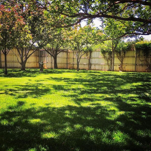 Dependable Lawn Pros