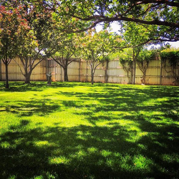 Dependable Lawn Pros