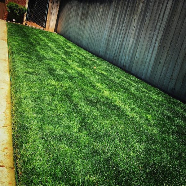 Dependable Lawn Pros