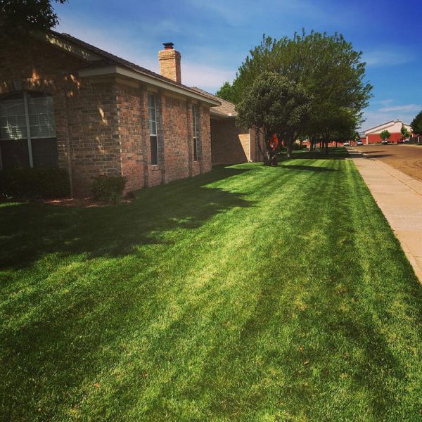 Dependable Lawn Pros