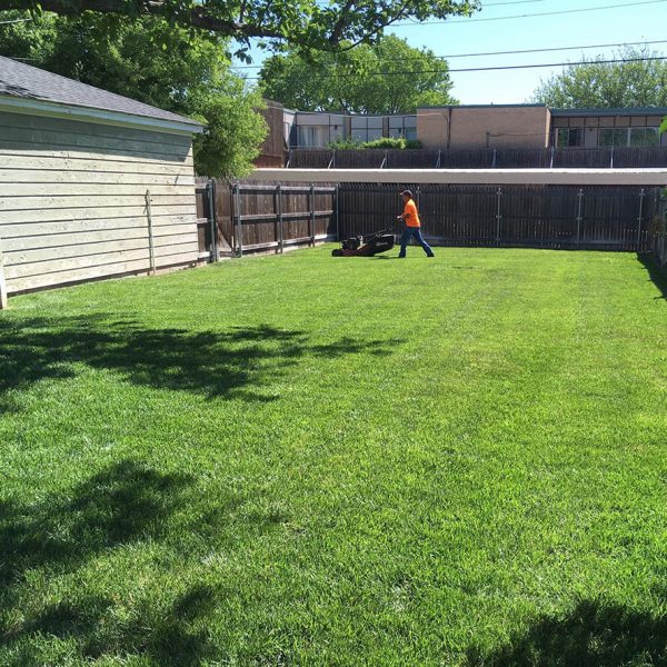 Dependable Lawn Pros