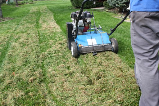 Dethatching: Thatch can prevent your lawn's root system from receiving water, nutrients and oxygen