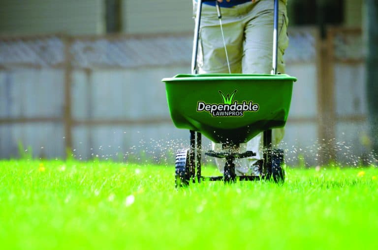 Weed Control and Fertilization Dependable Lawn Pros